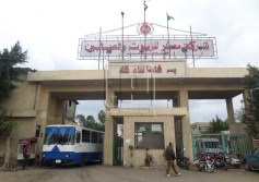 الاسكندرية للزيوت