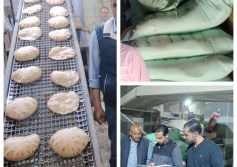 محافظة البحيرة 