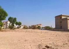 أراضي الاسكندرية