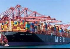 MSC خط 