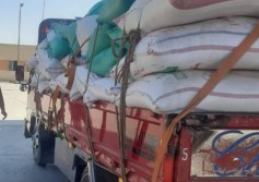 توريد القمح 