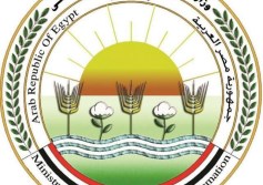 وزارة الزراعة 