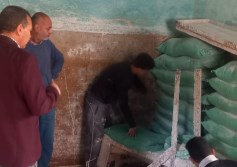 حملة تموينية