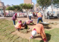 تطوير الحدائق