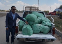 تموين الاسماعيلية
