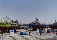 شركة التمساح 