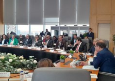 التضامن تشارك في ورشة عمل وزارة المالية