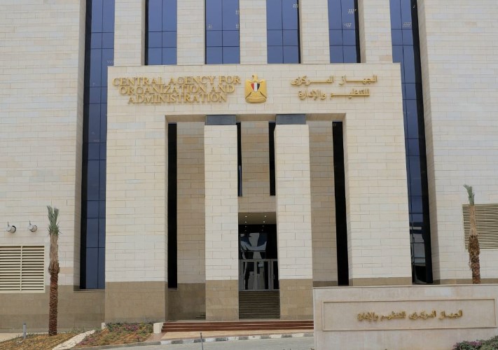 التنظيم والإدارة