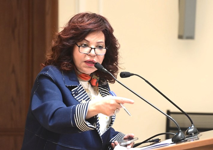 النائبة آمال عبد الحميد