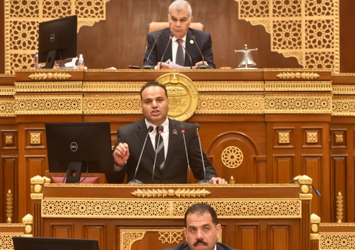 مجلس الشيوخ