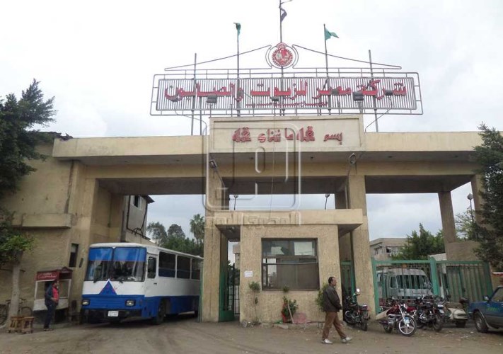 الاسكندرية للزيوت
