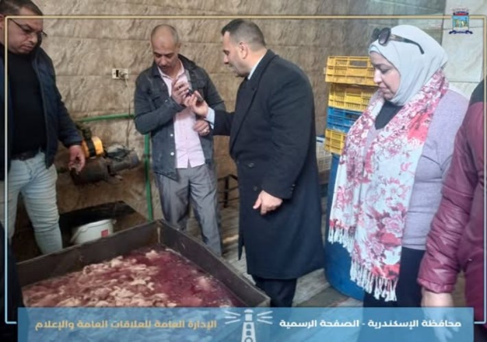 محافظة الاسكندرية 