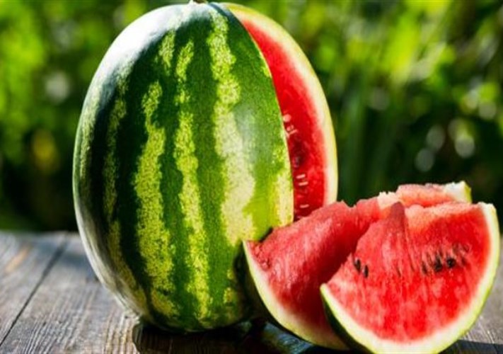 البطيخ أرشيفية 