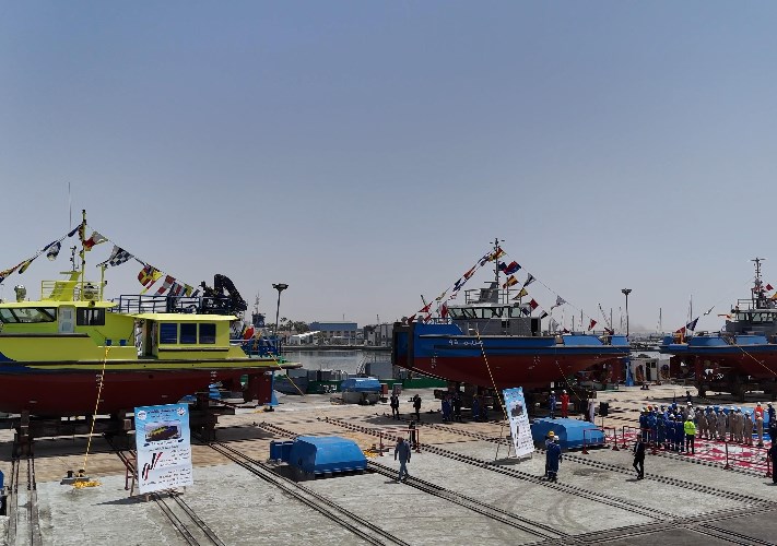 شركة التمساح 