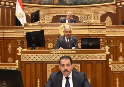 مجلس الشيوخ