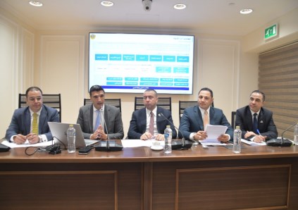 صناعة النواب 