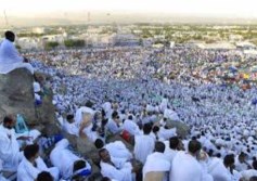 أماني الماحي