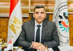 الدكتور محمد المنسي