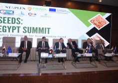 قمة مشروع SEEDS المنعقدة الآن في اتحاد الغرف التجارية