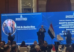حسين عيسى نائب رئيس مجلس الوزراء بمؤتمر البورصة