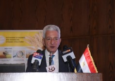 علاء عز مستشار رئيس اتحاد الغرف التجارية 