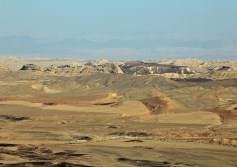 صحراء النقب