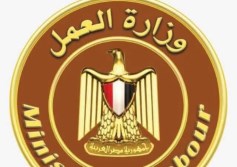 وزارة العمل 
