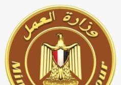 وزارة العمل 