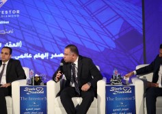 نائب رئيس صندوق التنمية الحضرية 