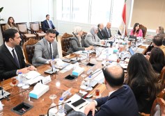 وزيرة الإسكان 
