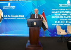 الدكتور حسين عيسى، نائب رئيس مجلس الوزراء للشؤون الاقتصادية