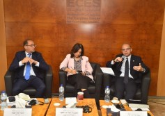 المركز المصري للدراسات الاقتصادية