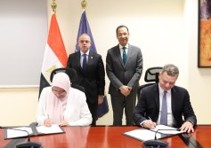وزارة الاستثمار 