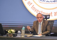 وزير الاستثمار 