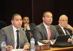 المصرية للاستثمار المباشر ورأس المال المخاطر