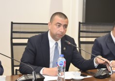 صناعة النواب 