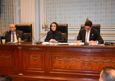 اقتصادية الشيوخ 