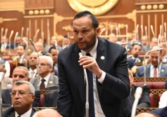 النائب محمد حلاوة
