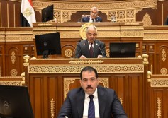 مجلس الشيوخ
