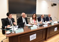 التنمية المحلية