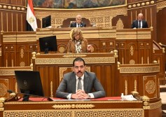 مجلس الشيوخ