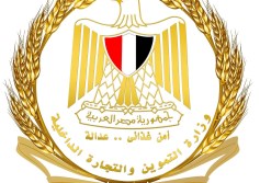 التموين