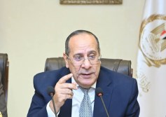 علاء ناجي