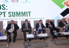 قمة مشروع SEEDS