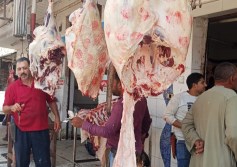 ضبطيات تموين