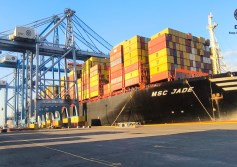 مصلحة الجمارك