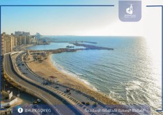 محافظة الإسكندرية 