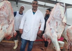 مجزر