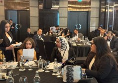 الغرة المصرية الايطالية