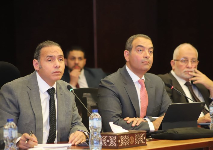 المصرية للاستثمار المباشر ورأس المال المخاطر
